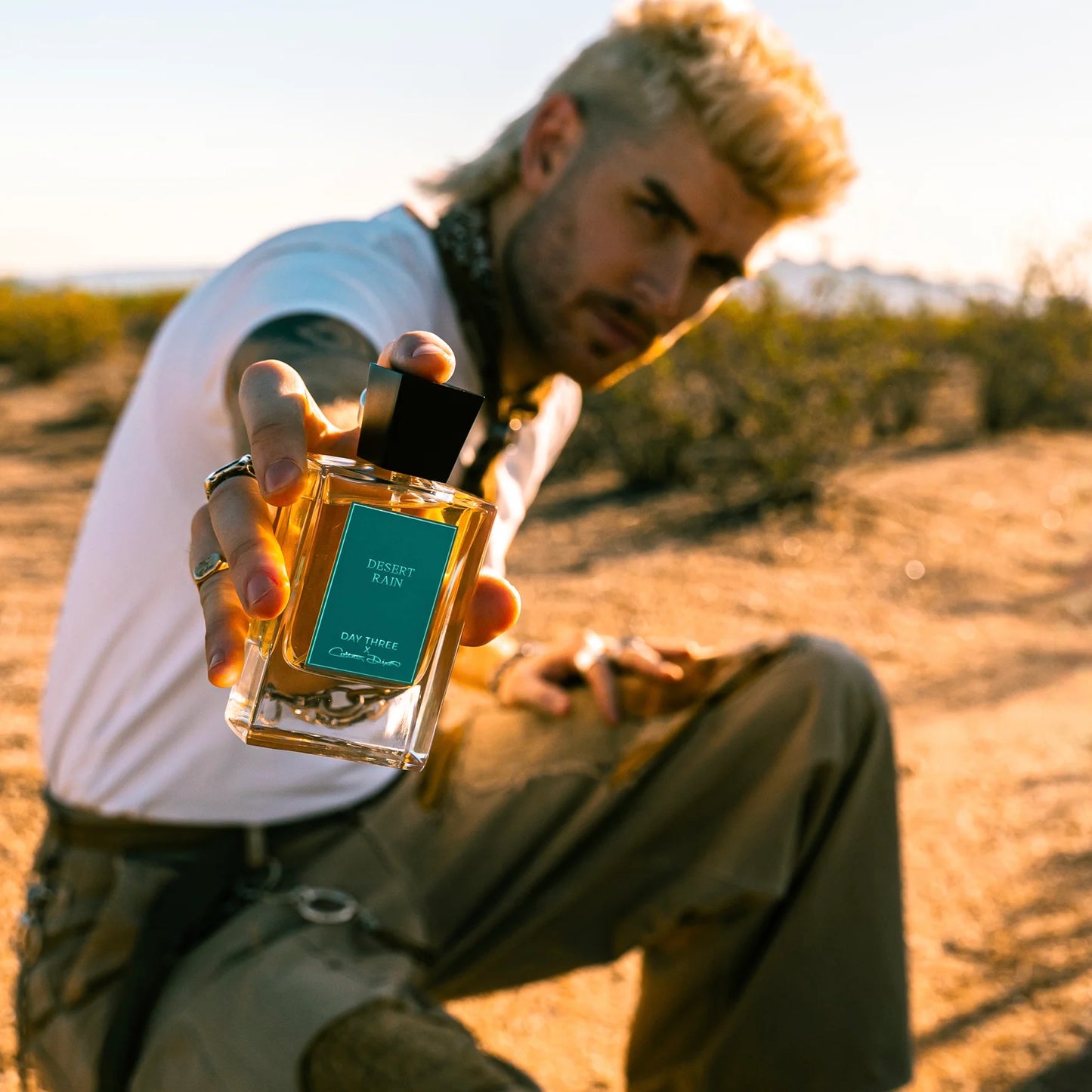 Desert Rain